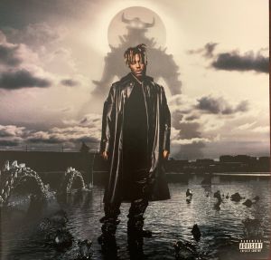 Juice Wrld - Fighting Demons (Vinyl)