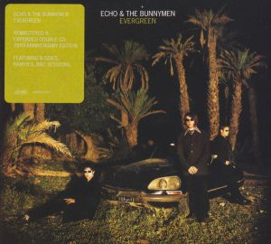 Echo & The Bunnymen - Evergreen