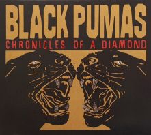 BLACK PUMAS - Chronicles Of A Diamond (CD)