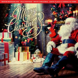 Various Artists - Merry Christmas (Vinyl)