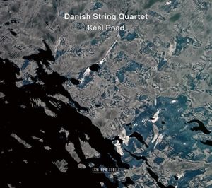 Danish String Quartet - Keel Road