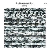 Tord Gustavsen Trio - Seeing (Vinyl)