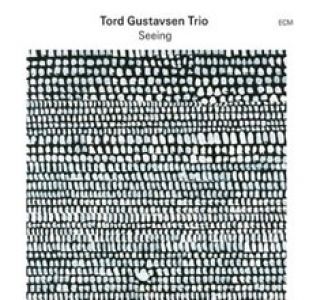 Tord Gustavsen Trio - Seeing (Vinyl)