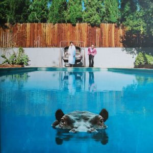 Sparks - Hippopotamus (Vinyl)