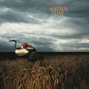 Depeche Mode - Broken Frame (Vinyl)