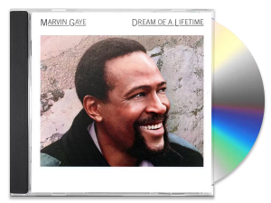 Marvin Gaye - Dream Of A Lifetime